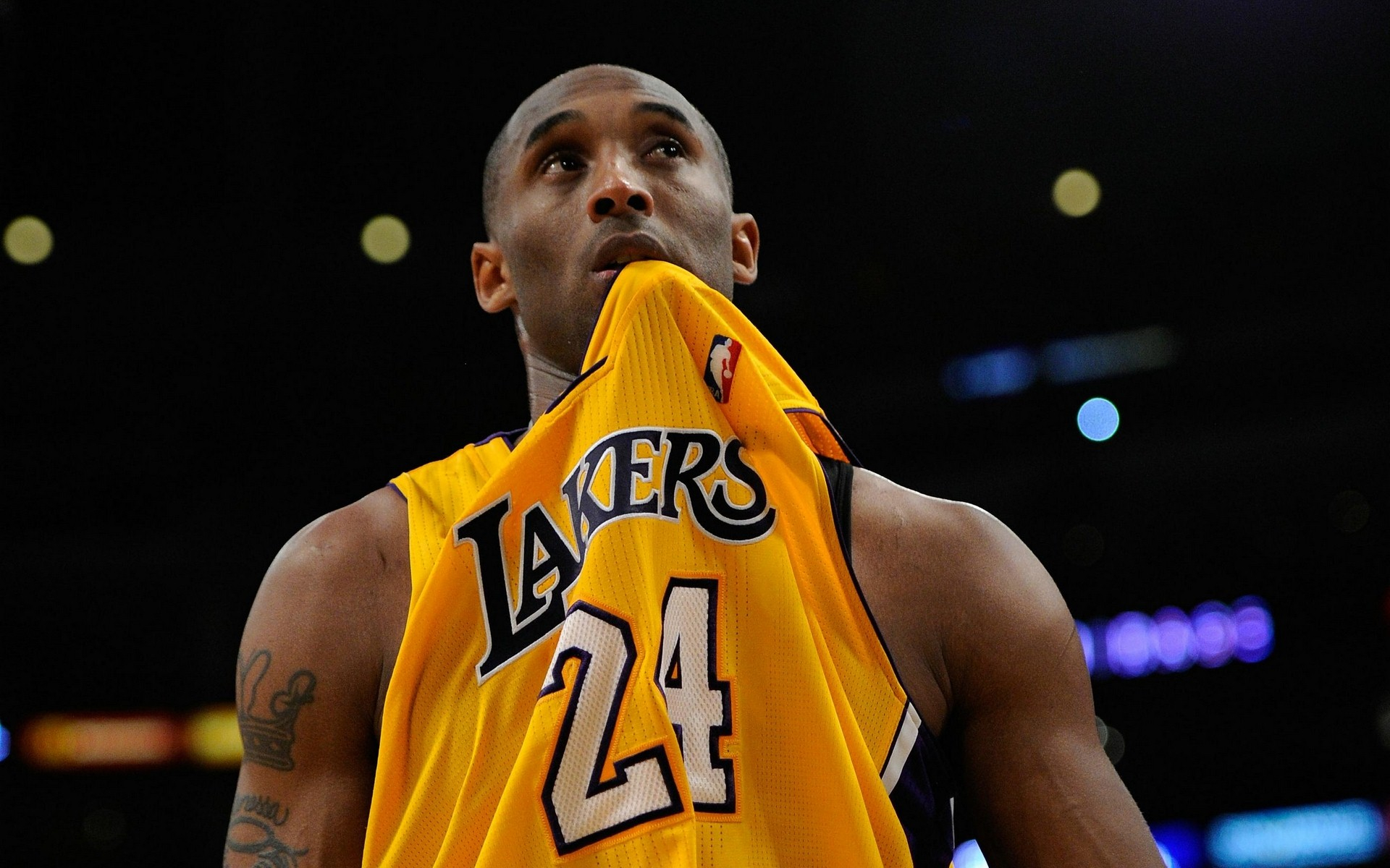 玻璃釉电阻器 IMG_0973